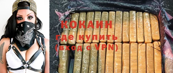 индика Алзамай
