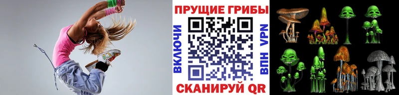 Псилоцибиновые грибы Psilocybe  где можно купить   Динская 